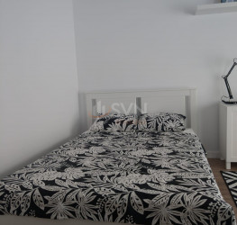 Apartament, 1 camera, 40 mp Bucuresti/Lujerului