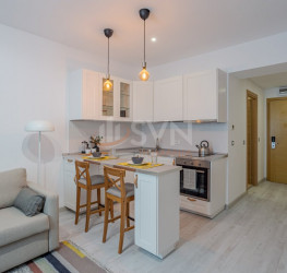 Apartament, 1 camera, 44 mp Bucuresti/Viilor