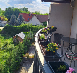 Apartament, 1 camera cu loc parcare subteran inclus Bucuresti/Pipera