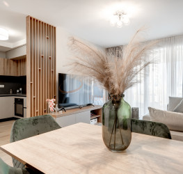 Apartament, 1 camera in City Point 2 Bucuresti/Aviatiei