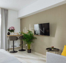 Apartament, 1 room, 21.5 mp Bucuresti/P-ta Romana