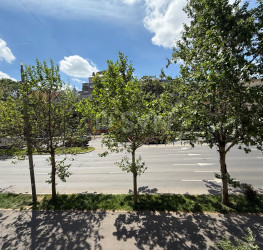 Apartament, 1 room, 34 mp Bucuresti/Calea Victoriei