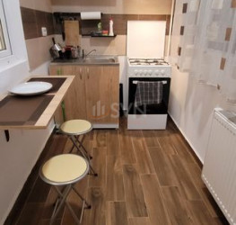 Apartament, 1 room, 38 mp Ilfov/Rosu