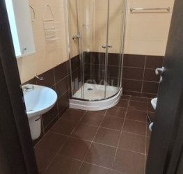 Apartament, 1 room, 38 mp Ilfov/Rosu