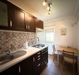 Apartament, 1 room, 40 mp Bucuresti/Decebal