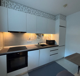 Apartament, 1 room, 40 mp Bucuresti/Pipera