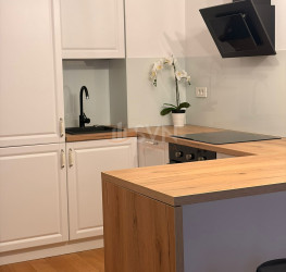 Apartament, 1 room, 45 mp Bucuresti/Aviatiei