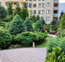 Apartament, 1 room, 55 mp Bucuresti/Aviatiei