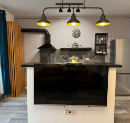 Apartament, 1 room with outdoor parking included Ilfov/Tunari