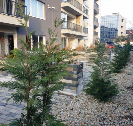 Apartament, 1 room with underground parking included Bucuresti/Pipera