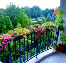 Apartament, 1 room with underground parking included Bucuresti/Pipera