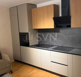 Apartament, 2 camere, 43 mp Bucuresti/Barbu Vacarescu