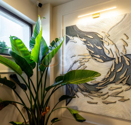 Apartament, 2 camere, 45 mp Bucuresti/Floreasca