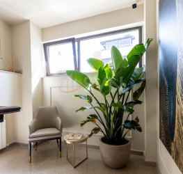 Apartament, 2 camere, 45 mp Bucuresti/Floreasca