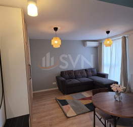 Apartament, 2 camere, 45 mp Bucuresti/Lacul Tei
