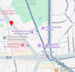 Apartament, 2 camere, 49 mp Bucuresti/Piata Victoriei