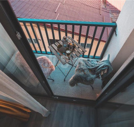 Apartament, 2 camere, 50 mp Bucuresti/Piata Unirii (s3)