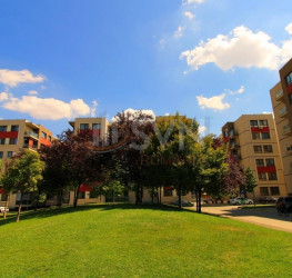 Apartament, 2 camere, 50 mp Bucuresti/Berceni