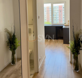 Apartament, 2 camere, 54 mp Bucuresti/Teiul Doamnei