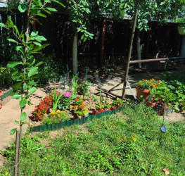 Apartament, 2 camere, 60 mp Bucuresti/Tineretului