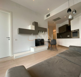 Apartament, 2 camere cu loc parcare subteran inclus Bucuresti/Herastrau