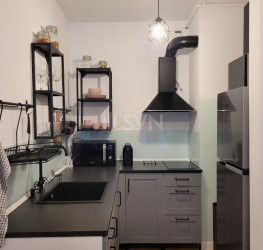 Apartament, 2 camere in ART City Bucuresti/Straulesti