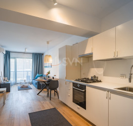 Apartament, 2 camere in Aviatiei Park Bucuresti/Aviatiei