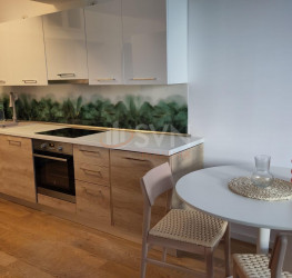 Apartament, 2 camere in Aviatiei Park Bucuresti/Aviatiei