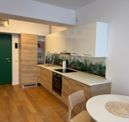 Apartament, 2 camere in Aviatiei Park Bucuresti/Aviatiei