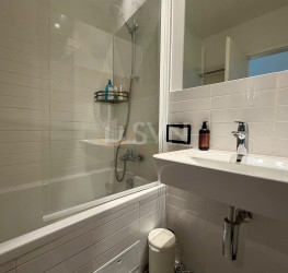 Apartament, 2 camere in Aviatiei Park Bucuresti/Aviatiei