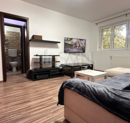 Apartament, 2 rooms, 40 mp Bucuresti/P-ta Victoriei