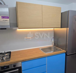 Apartament, 2 rooms, 42.4 mp Bucuresti/Cismigiu
