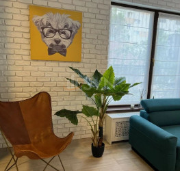 Apartament, 2 rooms, 46 mp Bucuresti/Bucurestii Noi
