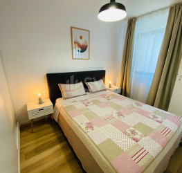 Apartament, 2 rooms, 50 mp Bucuresti/Tineretului