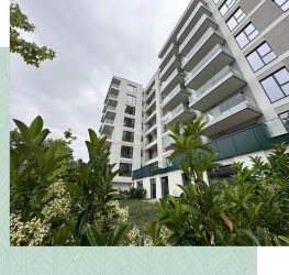 Apartament, 2 rooms, 50 mp Bucuresti/Straulesti