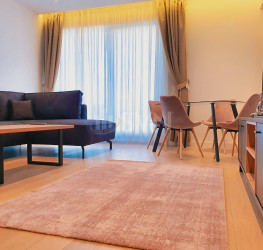 Apartament, 2 rooms, 52 mp Bucuresti/Herastrau