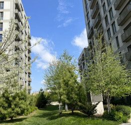 Apartament, 2 rooms, 55 mp Bucuresti/Aviatiei