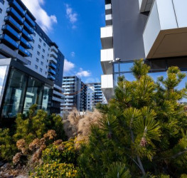 Apartament, 2 rooms, 55 mp Bucuresti/Pipera