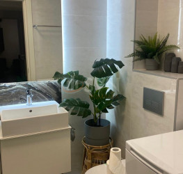 Apartament, 2 rooms, 56 mp Bucuresti/Mitropolie