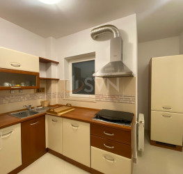 Apartament, 2 rooms, 60 mp Bucuresti/Herastrau