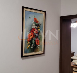 Apartament, 2 rooms, 63 mp Bucuresti/Centrul Civic (s1)