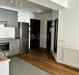 Apartament, 2 rooms, 75 mp Bucuresti/Aviatiei