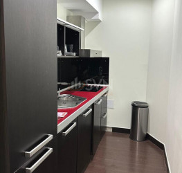 Apartament, 2 rooms, 85 mp Bucuresti/Herastrau