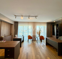 Apartament, 2 rooms in AVIATIEI PARK 2 Bucuresti/Aviatiei