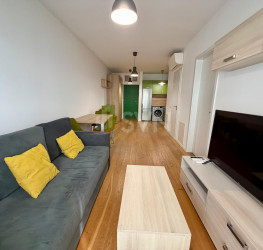 Apartament, 2 rooms in Aviatiei Park Bucuresti/Aviatiei