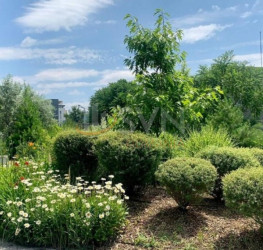 Apartament, 2 rooms in Aviatiei Park Bucuresti/Aviatiei