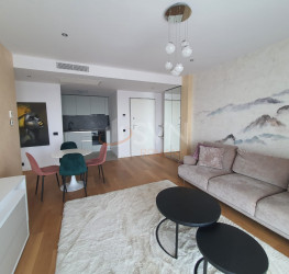 Apartament, 2 rooms with underground parking included Bucuresti/Herastrau