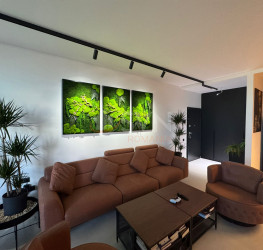 Apartament, 2 rooms with underground parking included Bucuresti/Pipera