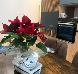 Apartament, 2 rooms with underground parking included Bucuresti/Bucurestii Noi