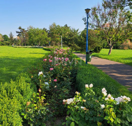 Apartament, 3 camere, 60 mp Bucuresti/Parcul Circului